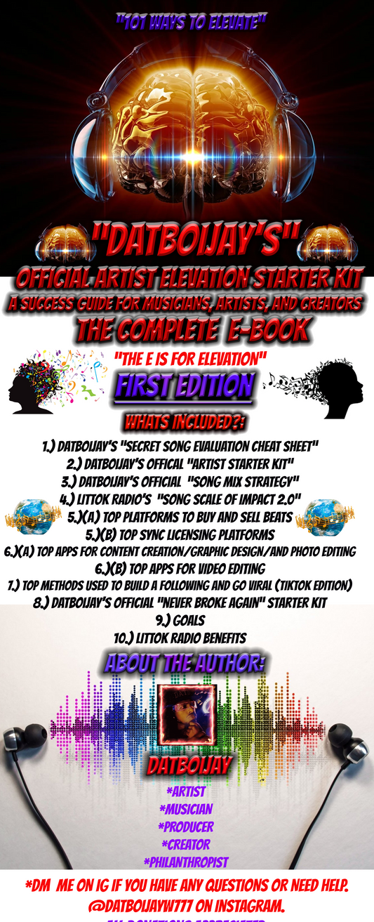 101 Ways To Elevate: Datboijay's Official Artist Elevation Starter Kit E-Book; A Success Guide For Artists, Musicians, And Creators, Tiktok Edition